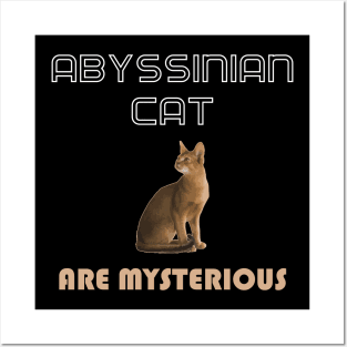 Abyssinian Cat Are Mysterious Posters and Art